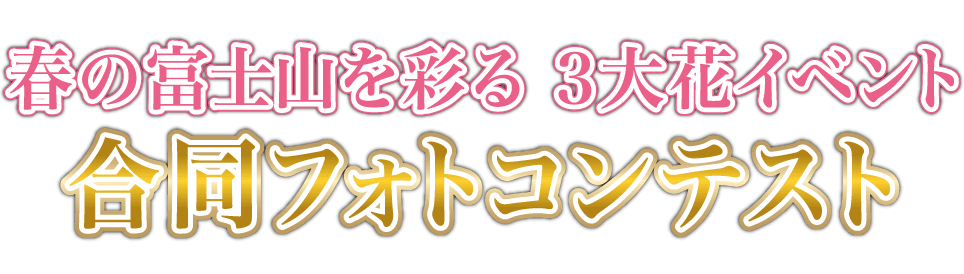 富士芝桜まつりロゴ