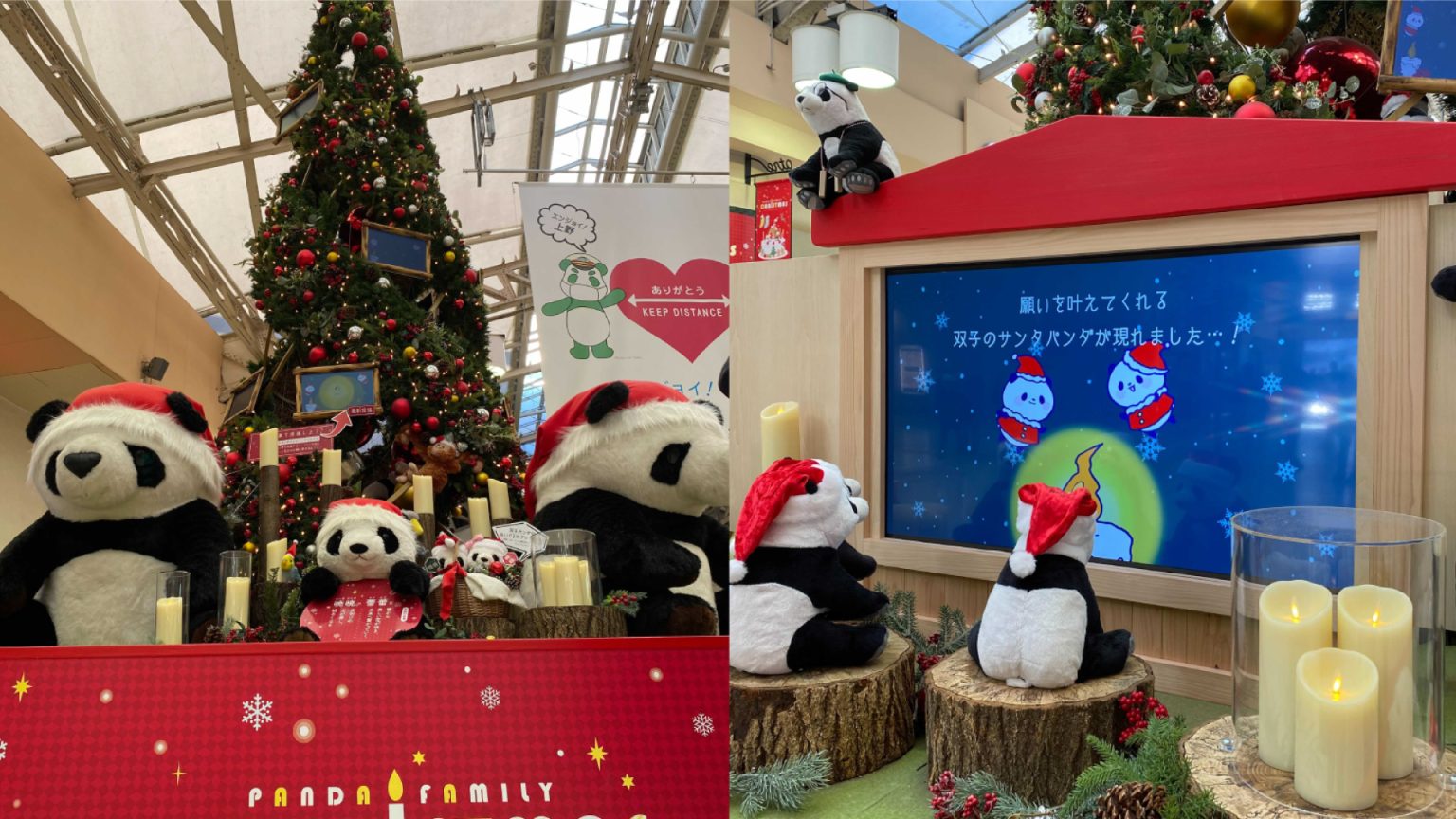 タグライブの導入事例のご紹介。アトレ上野様「パンダファミリークリスマス」 アーガイル株式会社 / argyle Inc.